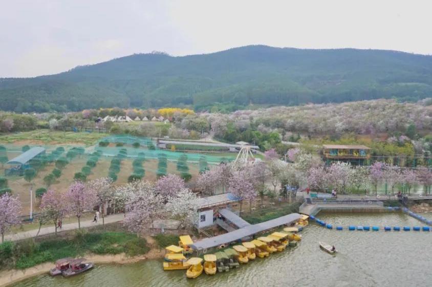 湘籍企业商会与志惠农场 一 美丽花海之约