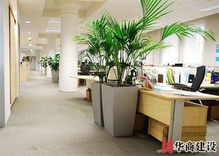 办公室装修的五大原则,原来要这样设计!
